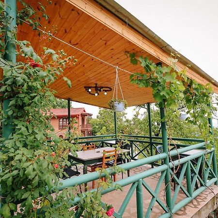 Guest House Evdoshvili St N5 Sighnaghi Bagian luar foto