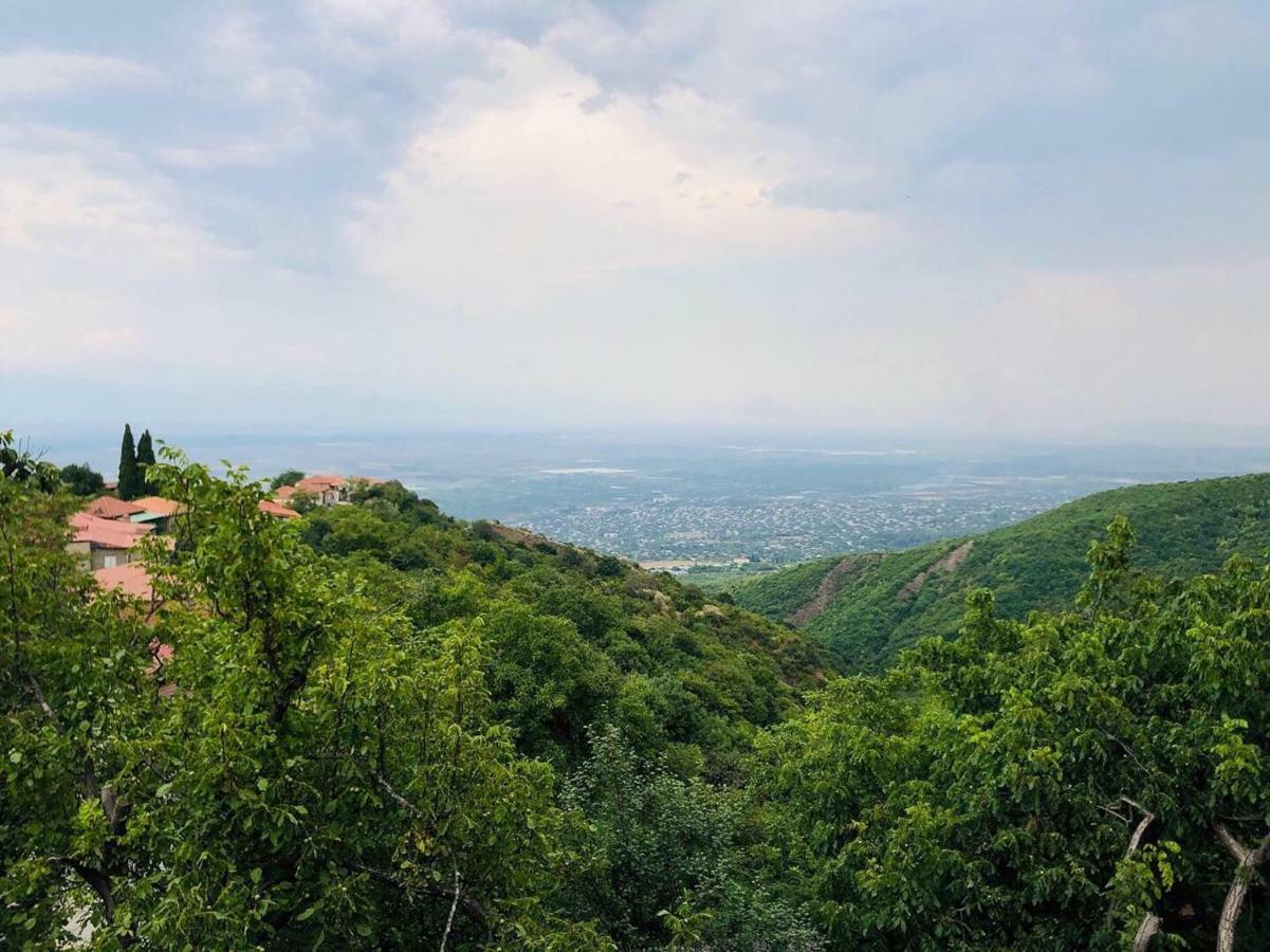 Guest House Evdoshvili St N5 Sighnaghi Bagian luar foto